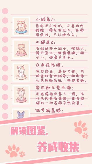 猫咪养成：云撸猫 第2张