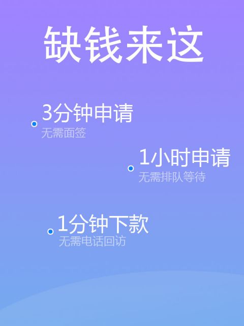 秒批借条 第4张